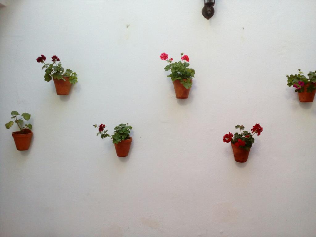Apartamentos Porvera Jerez Jerez de la Frontera Extérieur photo